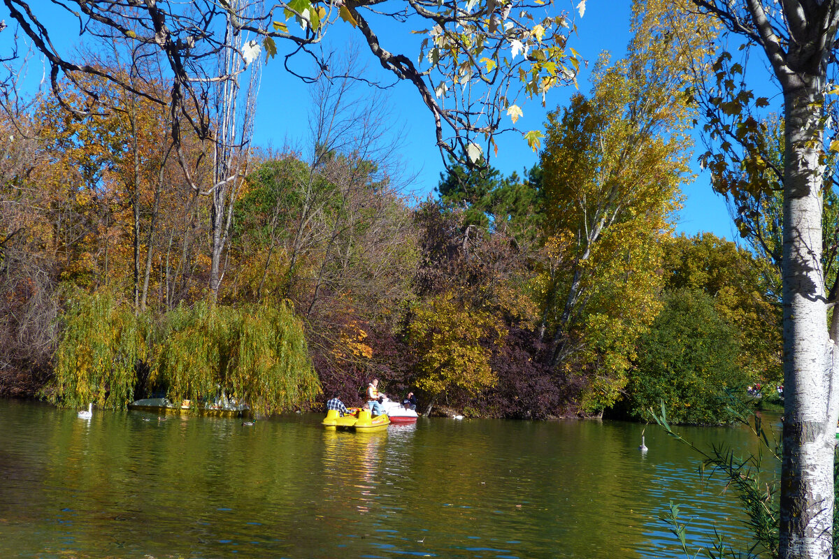 Осень золотая - Валентин Семчишин Осень золотая - Валентин Семчишин
