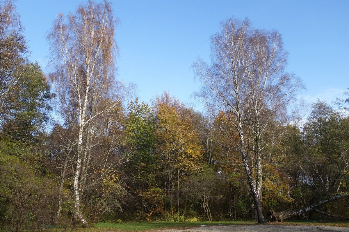 Ноябрь - Рита Симонова Ноябрь - Рита Симонова