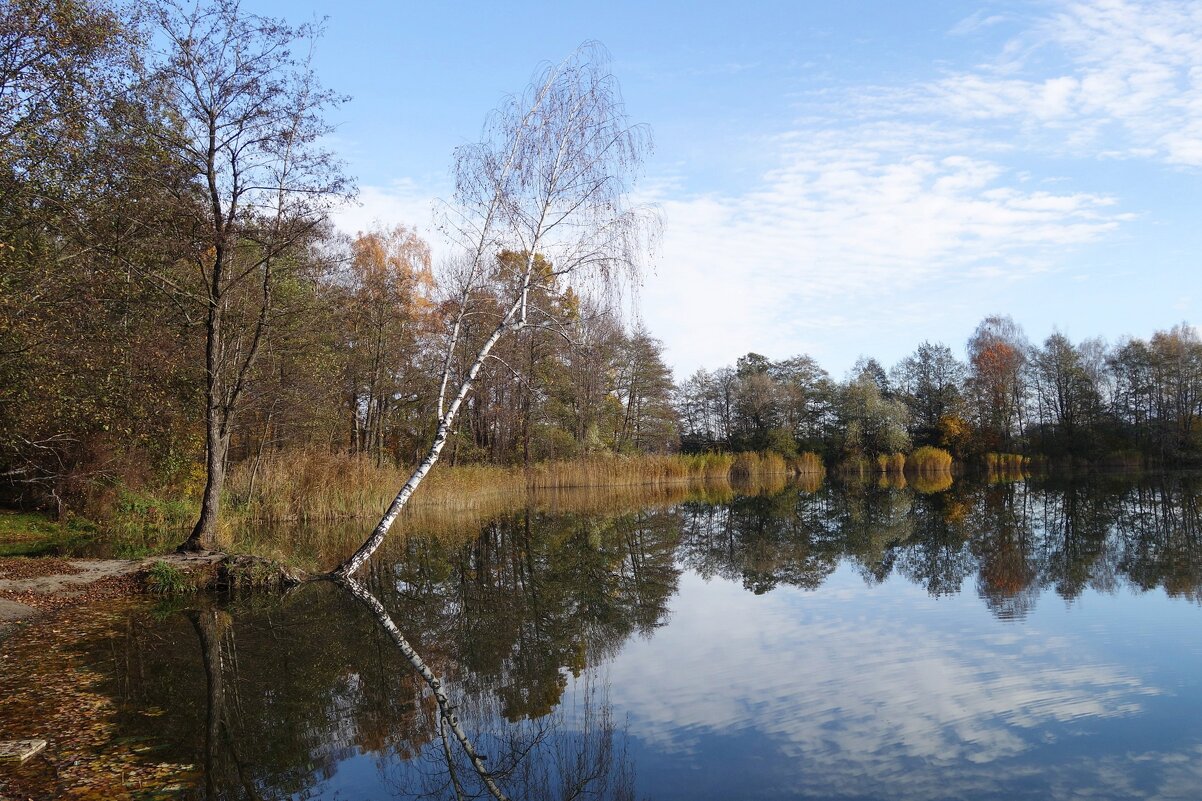 Ноябрь - Рита Симонова Ноябрь - Рита Симонова