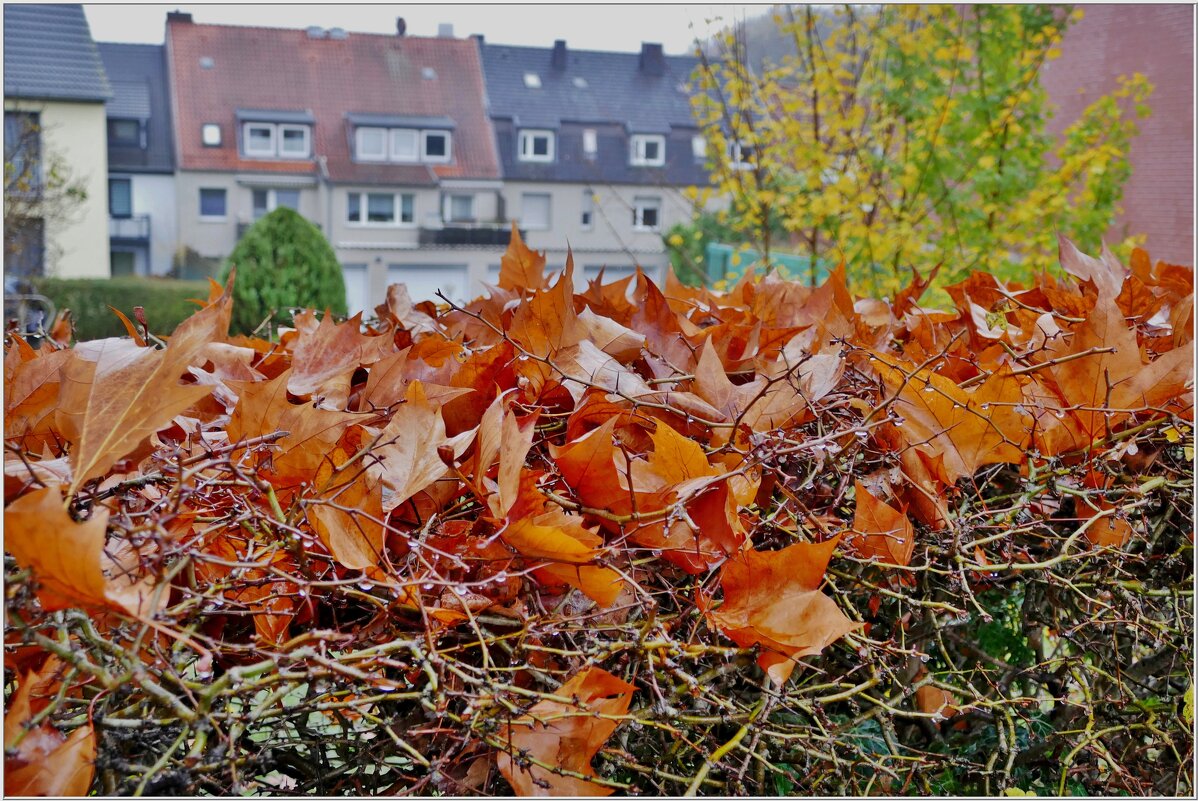 ОСЕНЬ В ГОРОДЕ... - Elvira E. 