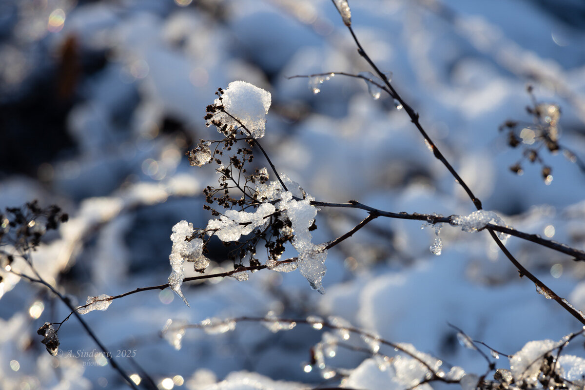 После первого снега - Александр Синдерёв