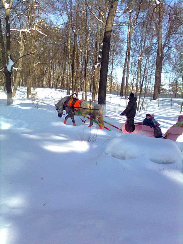 когда то зимой - Елена Семигина