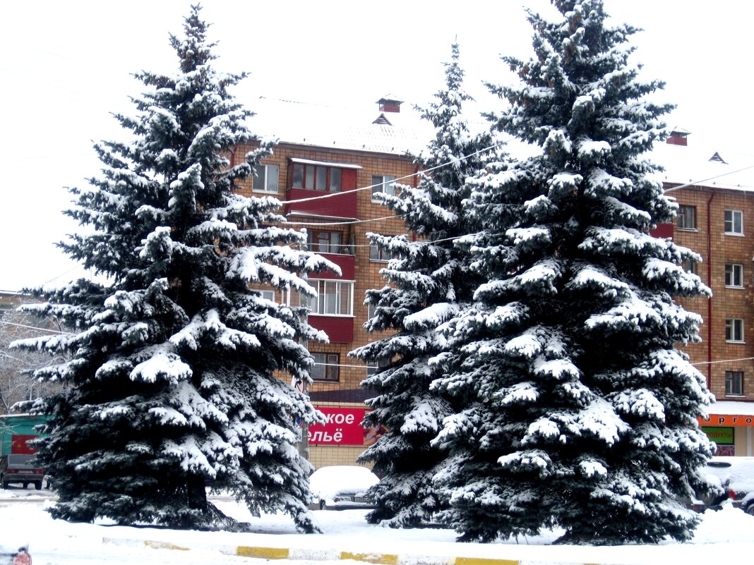 В центре города - Елена Семигина В центре города - Елена Семигина