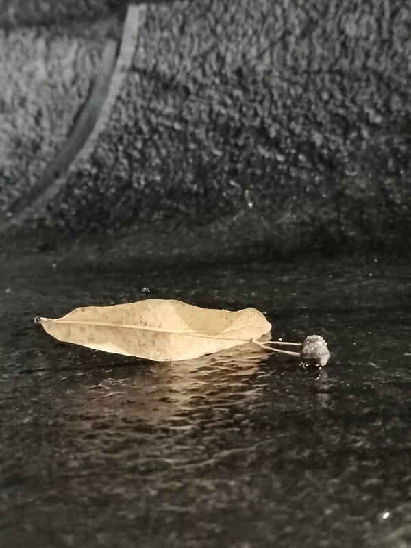 Напоминание осени - Любимова Ольга 