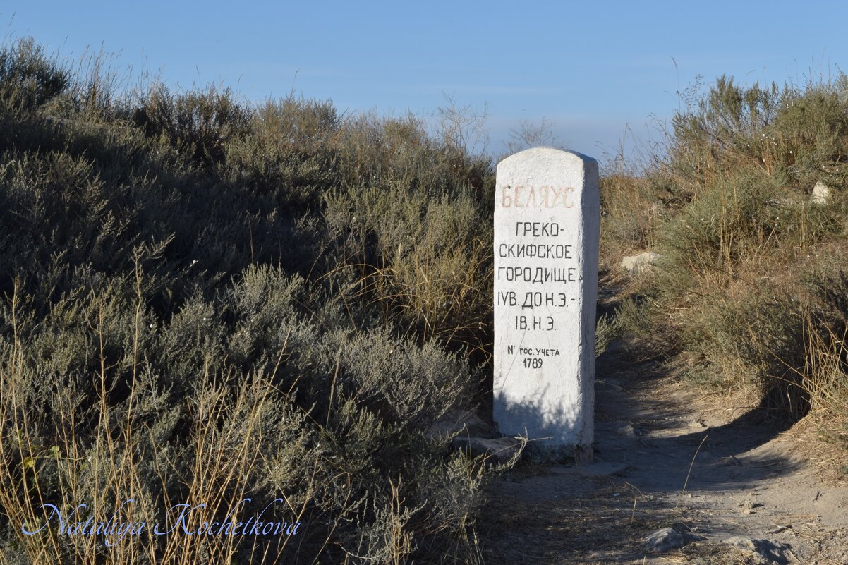 Природа Крыма - Amazing Cosmea