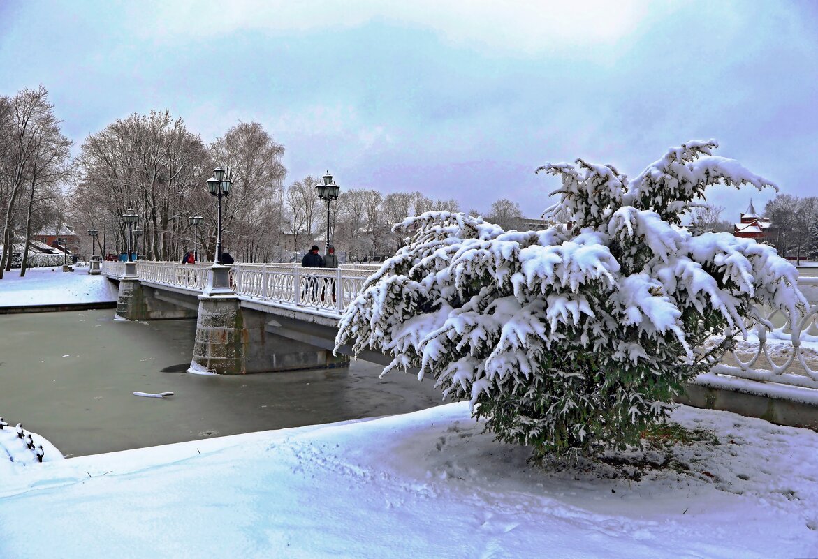 Лебяжий мост - Сергей Карачин Лебяжий мост - Сергей Карачин