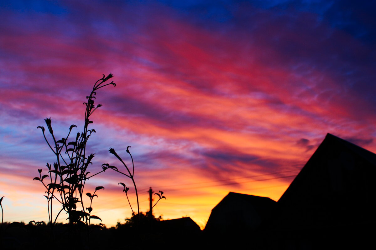 силуэты крыш - Артём 