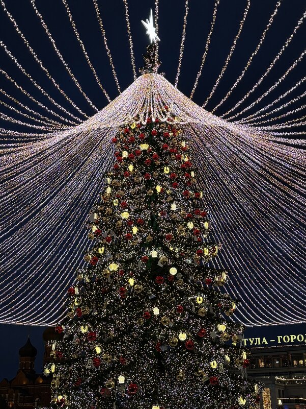 Главная елка Тулы - Александр Конов Главная елка Тулы - Александр Конов