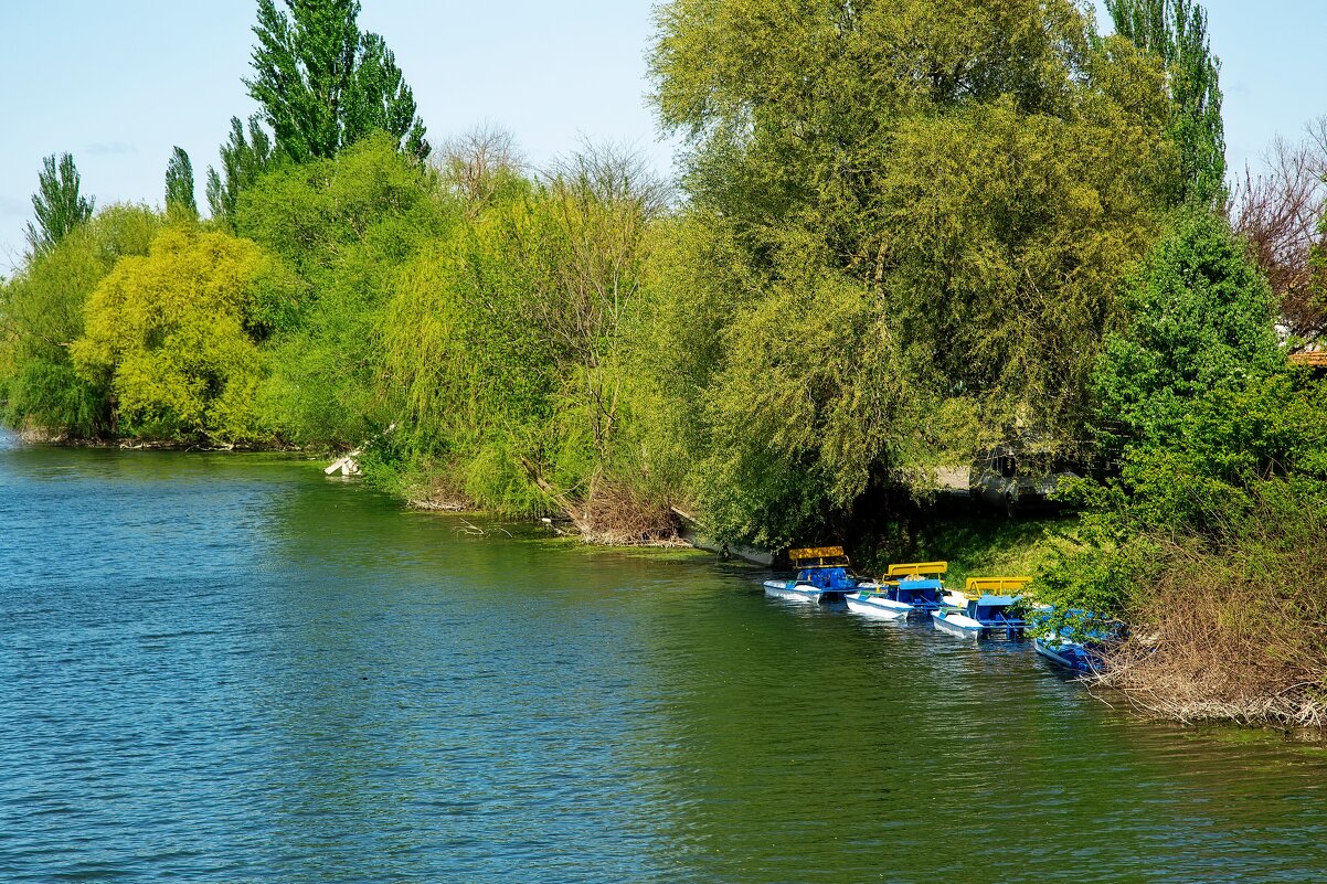 *** - Яна Горбунова