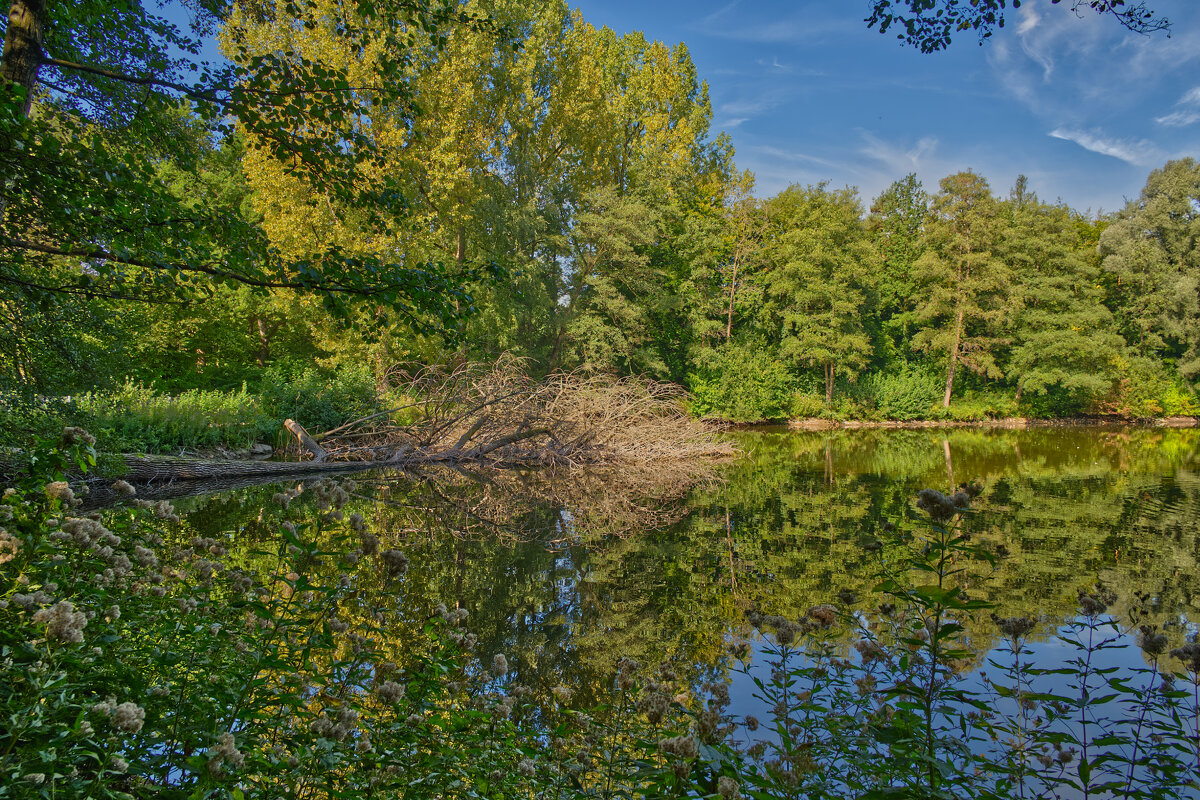 Пруд - Jakob Dick