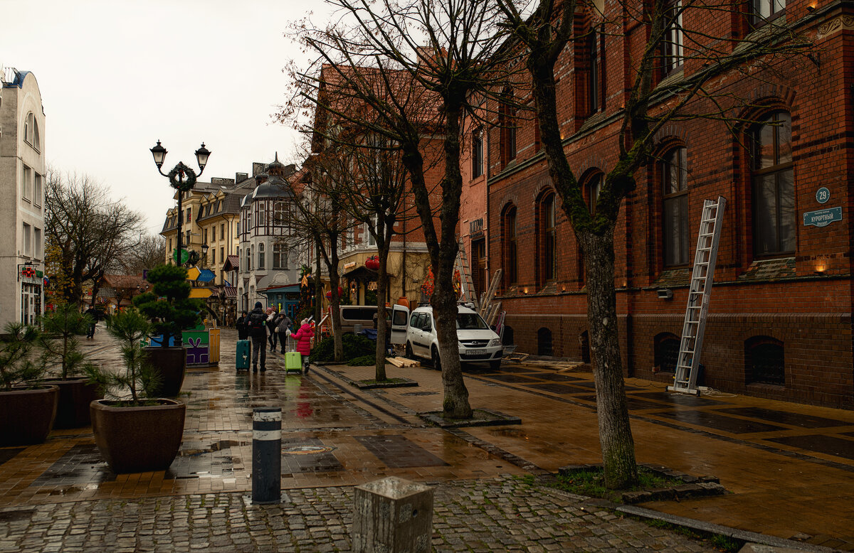 Зеленоградск - Лилия . Зеленоградск - Лилия .