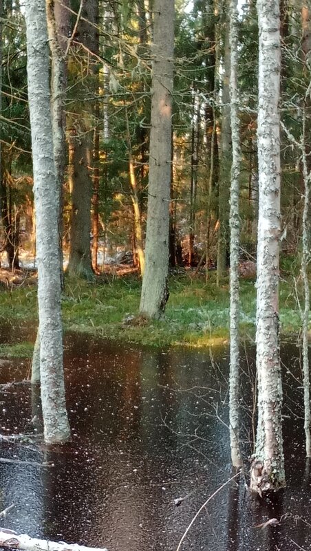 *** - Ольга Попова (popova/j2011) *** - Ольга Попова (popova/j2011)