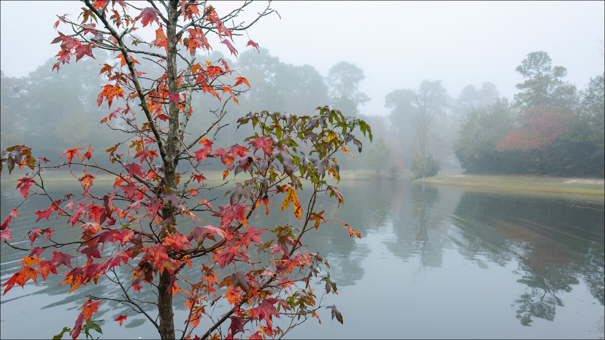 Утро - **** vedin Утро - **** vedin