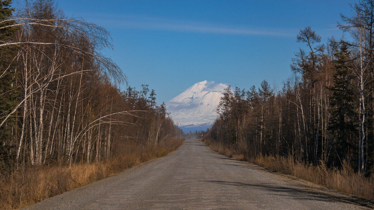 ... - Жора Житников ... - Жора Житников