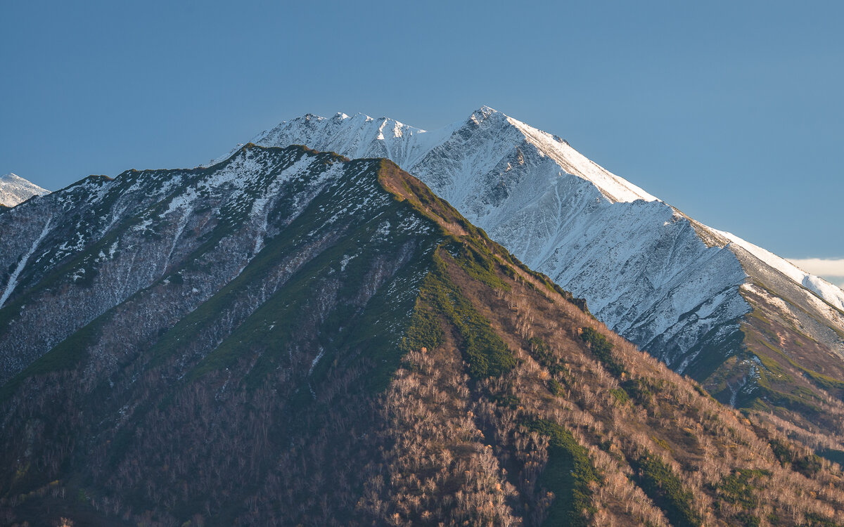 ... - Жора Житников ... - Жора Житников