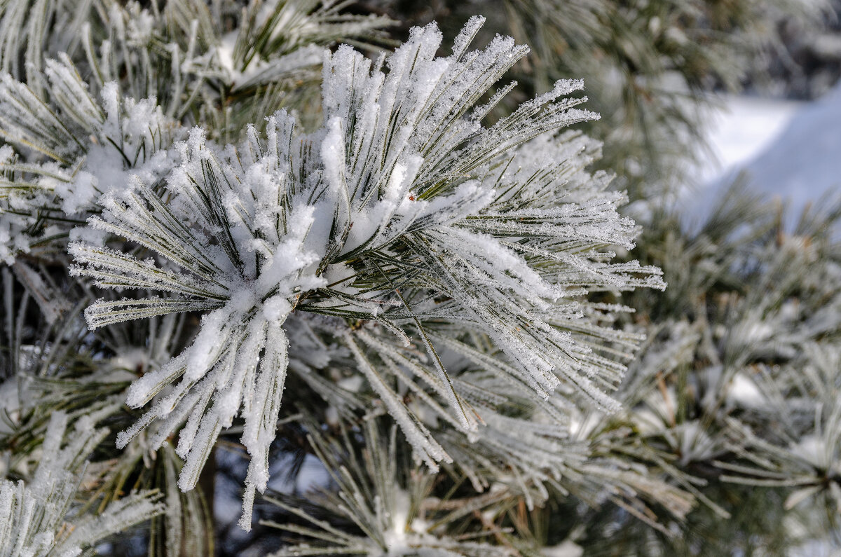 *** - Виктор Иванович Чернюк