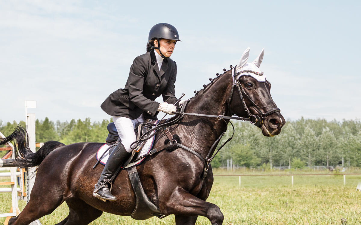 Конкур - SanSan 