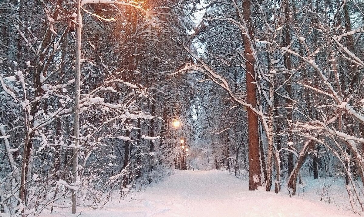 Вечером в парке - Галина Нестратова Вечером в парке - Галина Нестратова