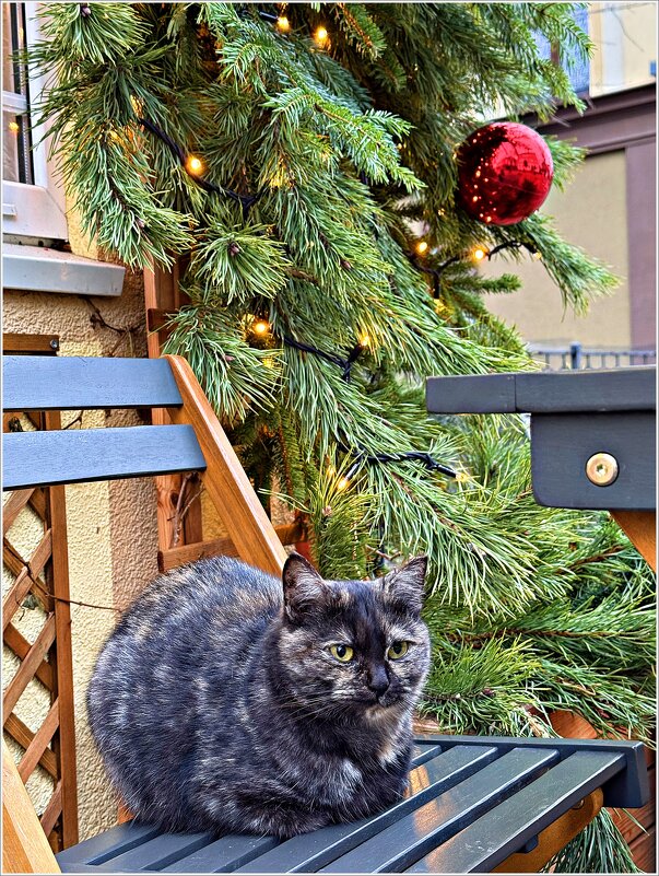 ******* - Валерия Комова ******* - Валерия Комова