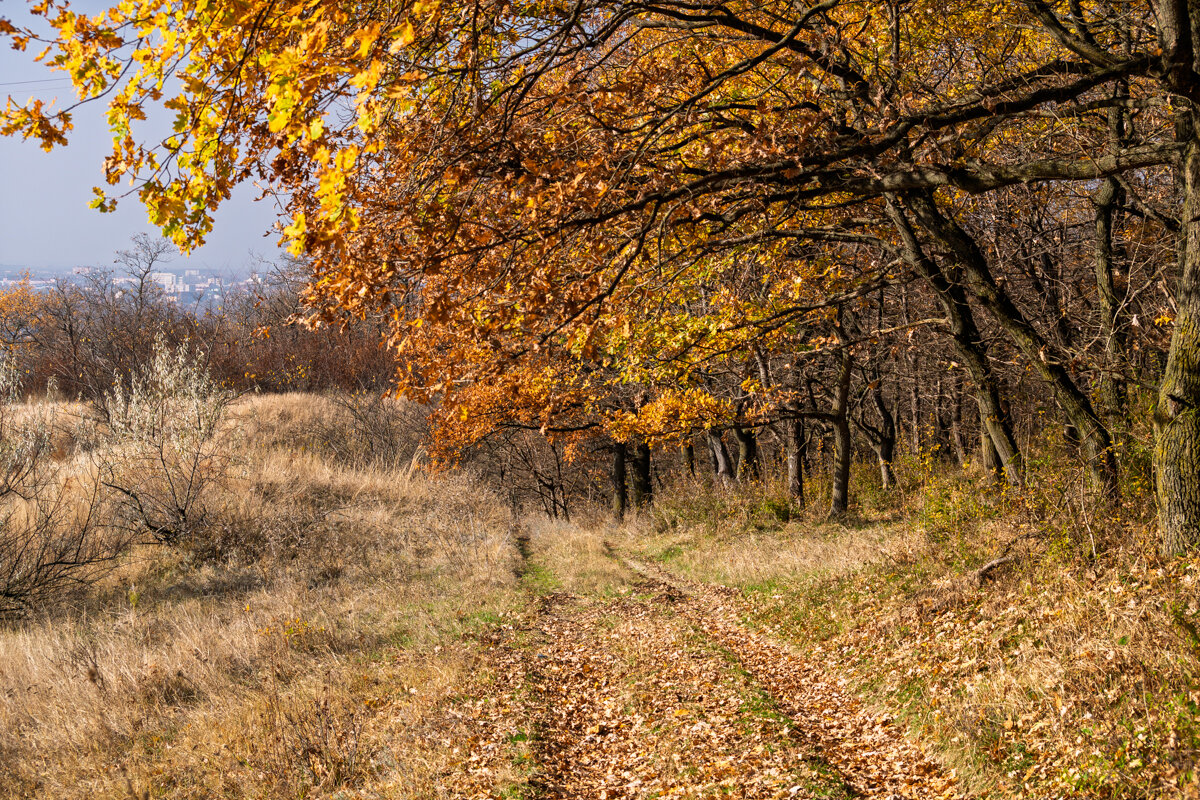 Время летит, вот и осень прошла! - Игорь Сикорский Время летит, вот и осень прошла! - Игорь Сикорский