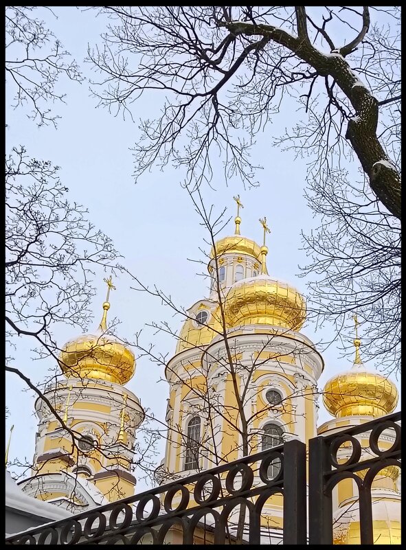 Владимирский собор - Алексей Дмитриев Владимирский собор - Алексей Дмитриев