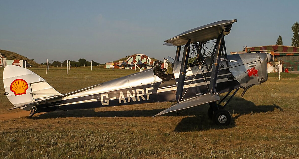Тайгер мот (Тигровая бабочка) - Сергей Воротников