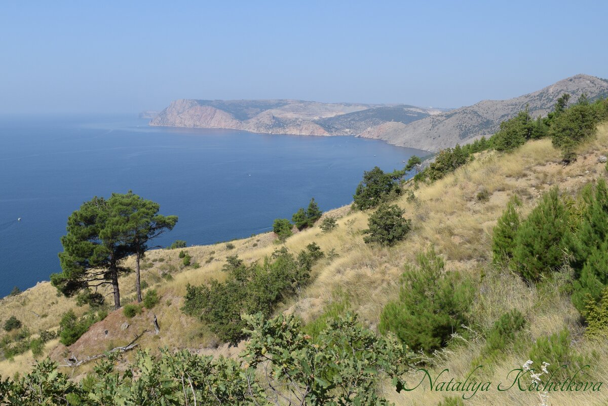 Природа Крыма - Amazing Cosmea Природа Крыма - Amazing Cosmea