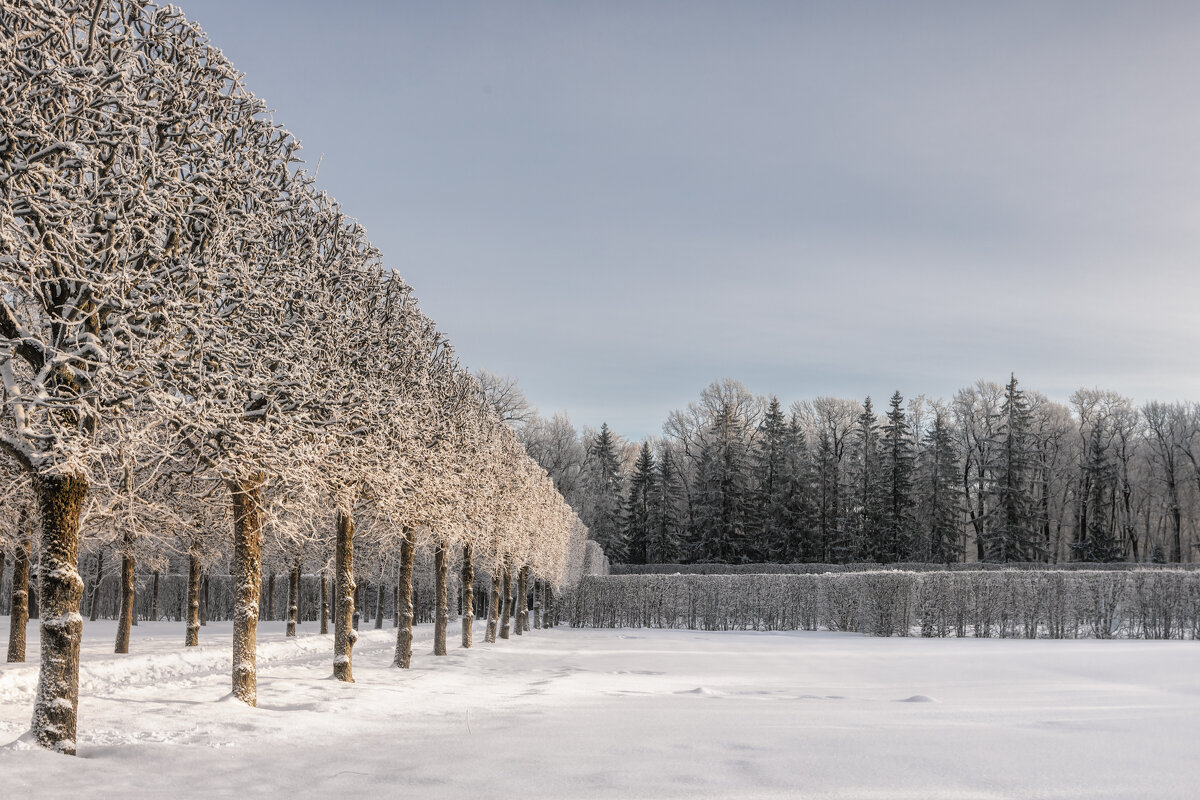 Про Питер - Владимир Колесников