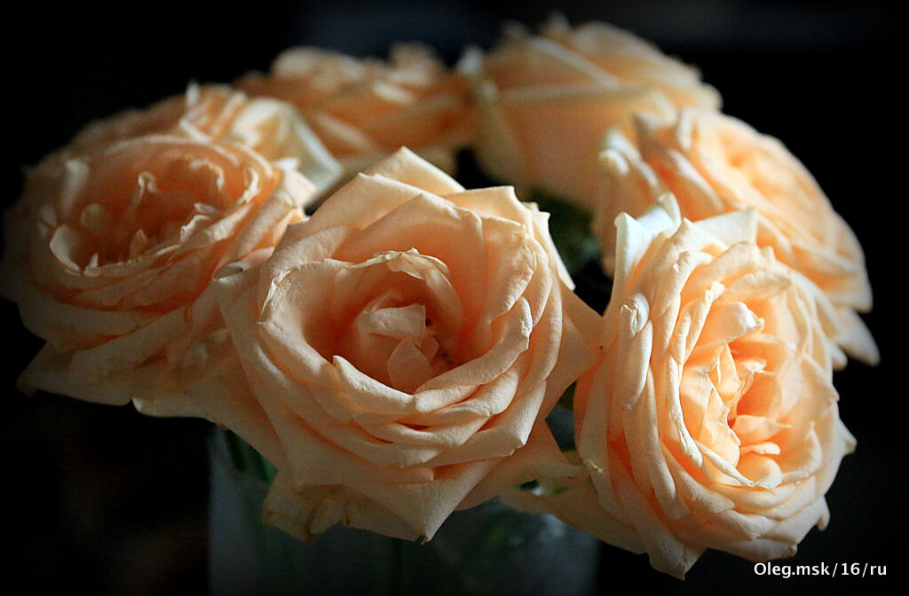 цветы для любимых - Олег Лукьянов цветы для любимых - Олег Лукьянов