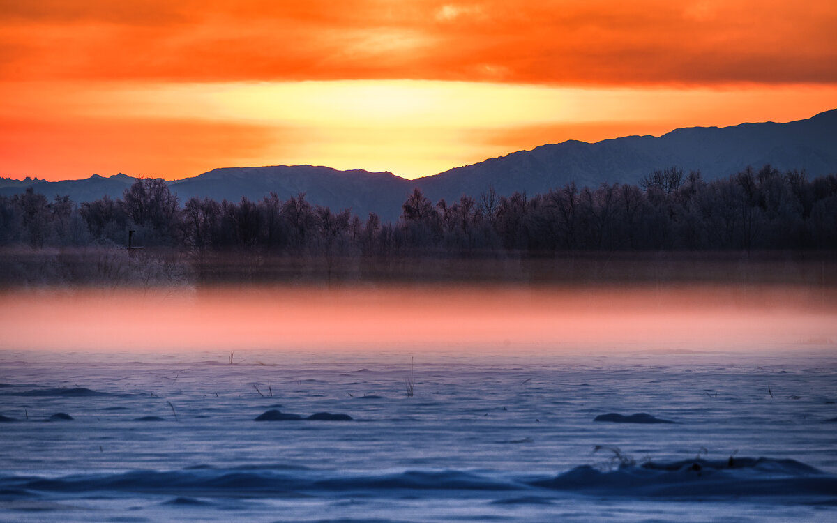 ... - Жора Житников ... - Жора Житников