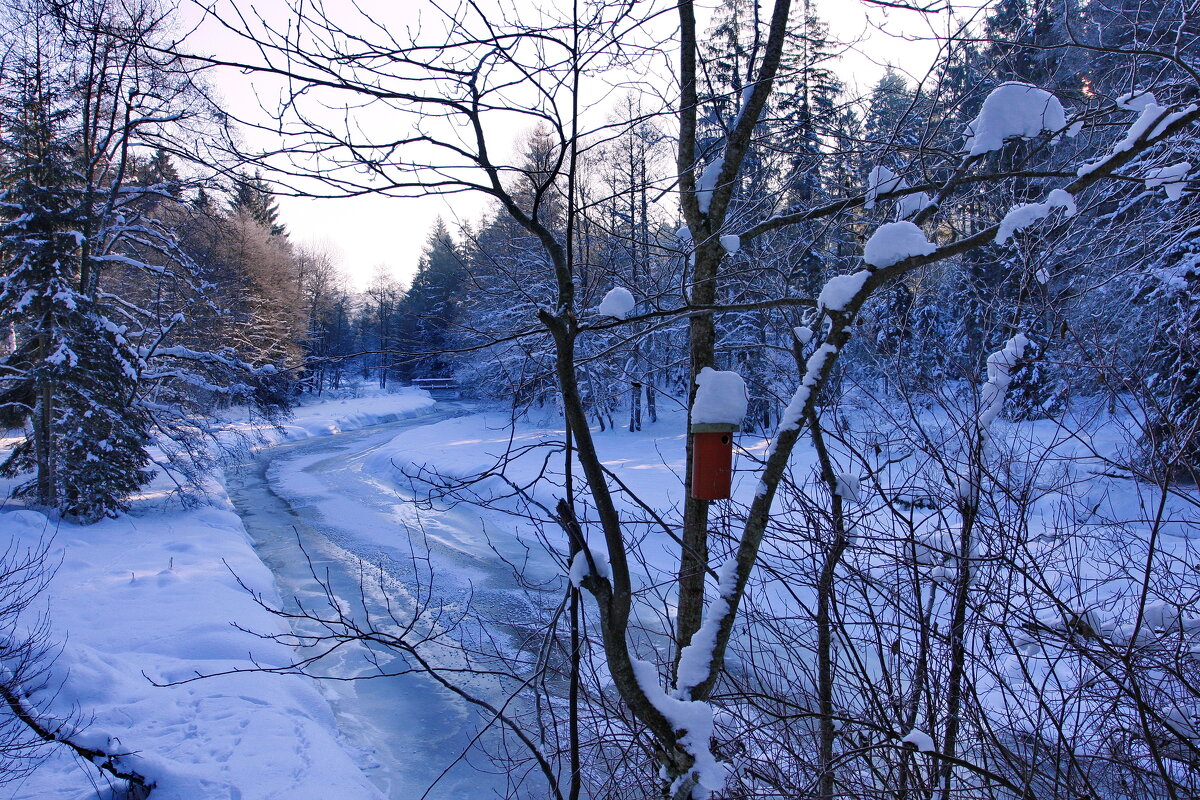 "Чародейкою зимою околдован лес стоит" - Ирэн "Чародейкою зимою околдован лес стоит" - Ирэн