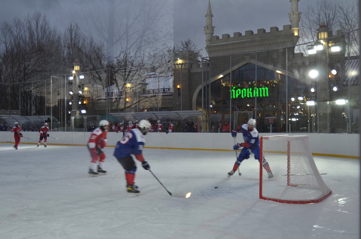 В пустые ворота заключительный гол. - Наталья Вязигина В пустые ворота заключительный гол. - Наталья Вязигина