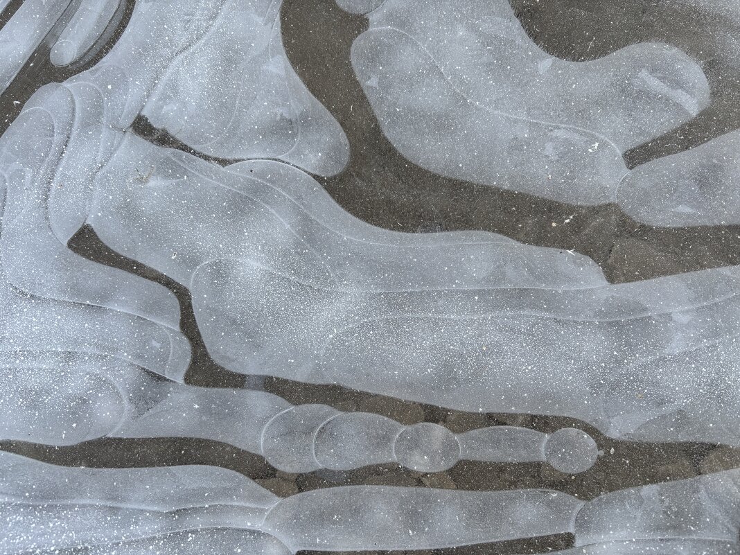 Вода и воздух - Ольга Савельева Вода и воздух - Ольга Савельева