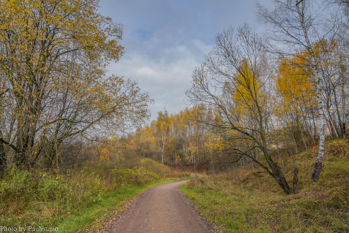 Тропинками осени... - Владимир Жданов