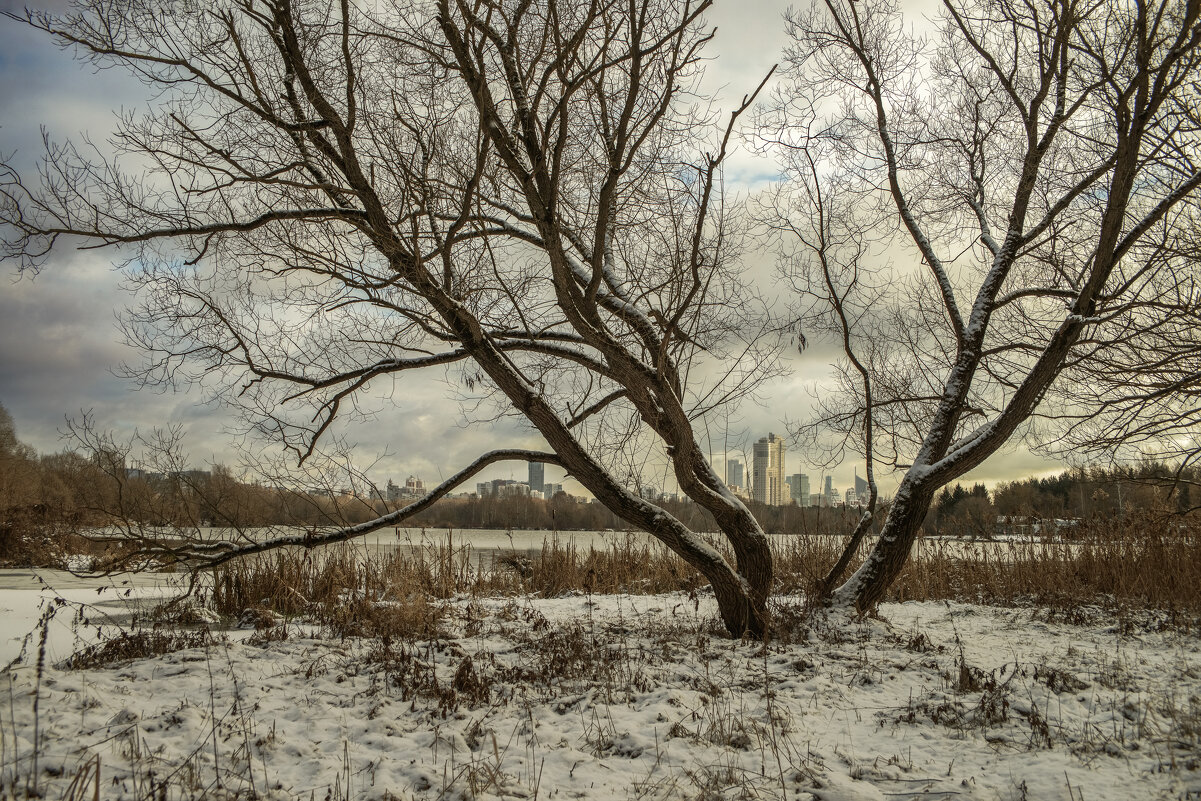 Город уже за рекой. - Николай Город уже за рекой. - Николай