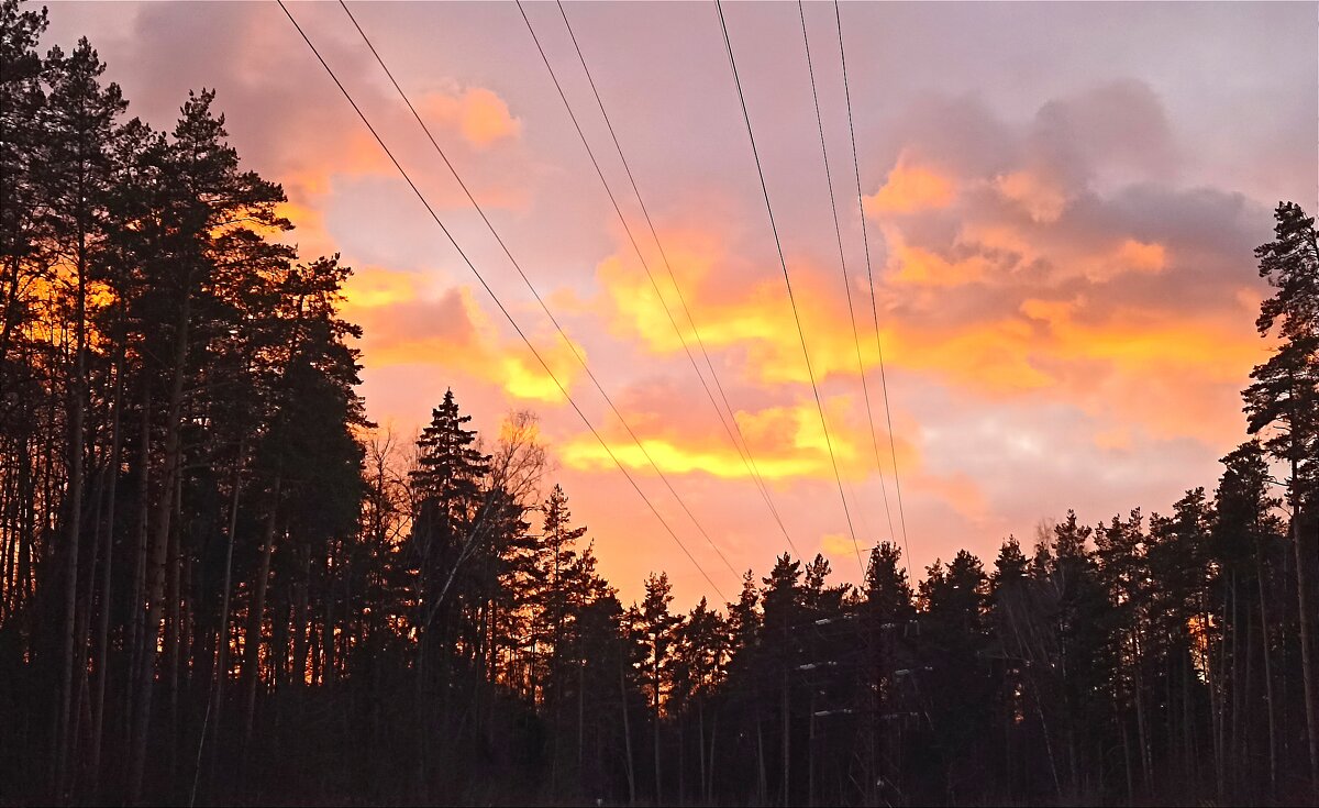 Сегодня вечером - Татьяна Тюменка