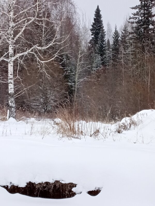 Пришла зима - Лека 