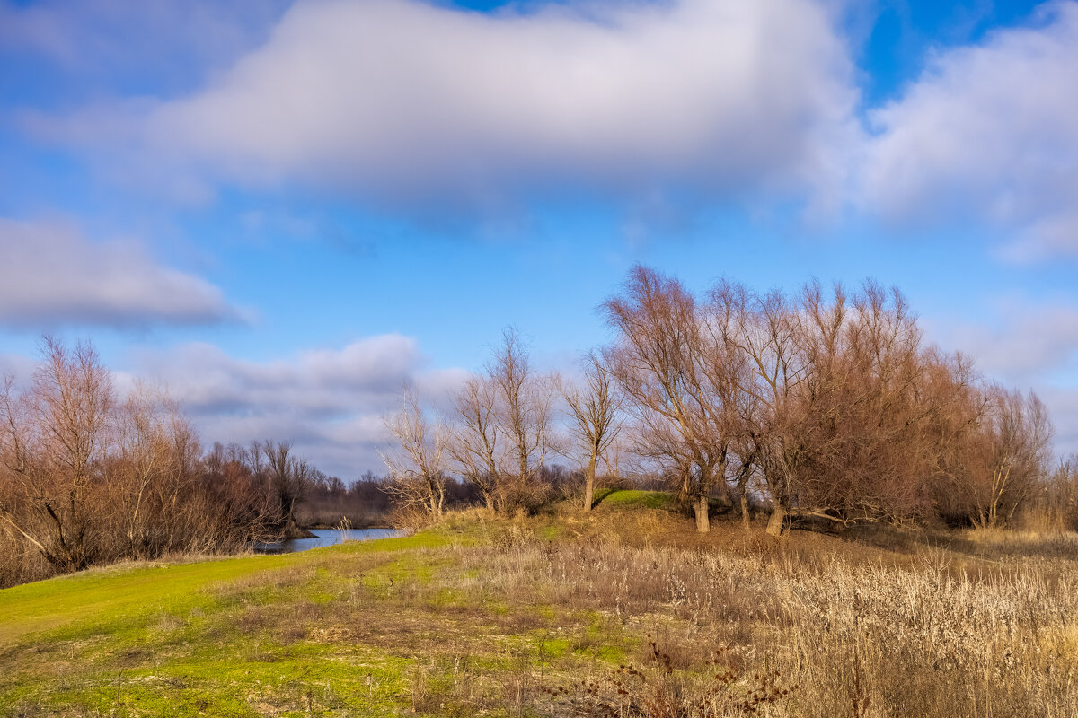 Волго-Ахтубинская пойма. Декабрь 2025 - Олег Дорошенко Волго-Ахтубинская пойма. Декабрь 2025 - Олег Дорошенко