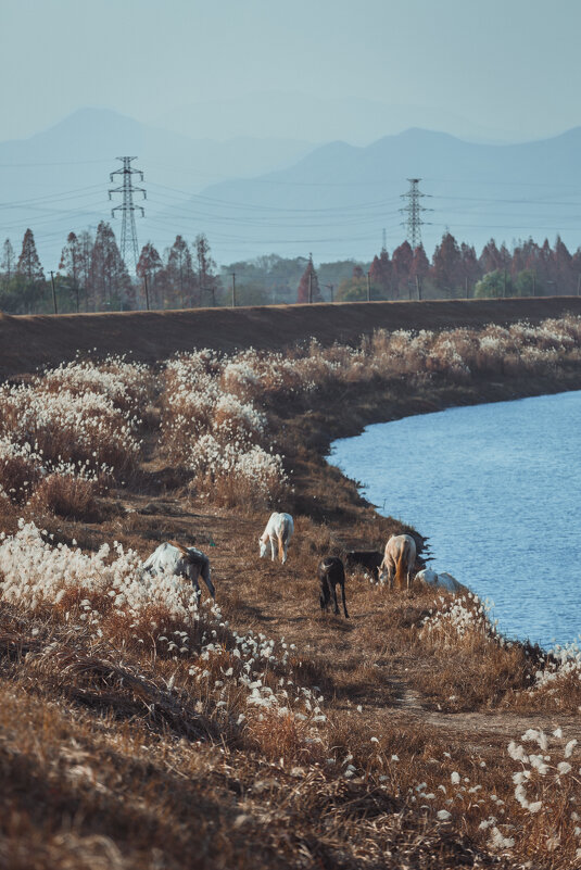 Китайская сельская местность - Дмитрий Китайская сельская местность - Дмитрий