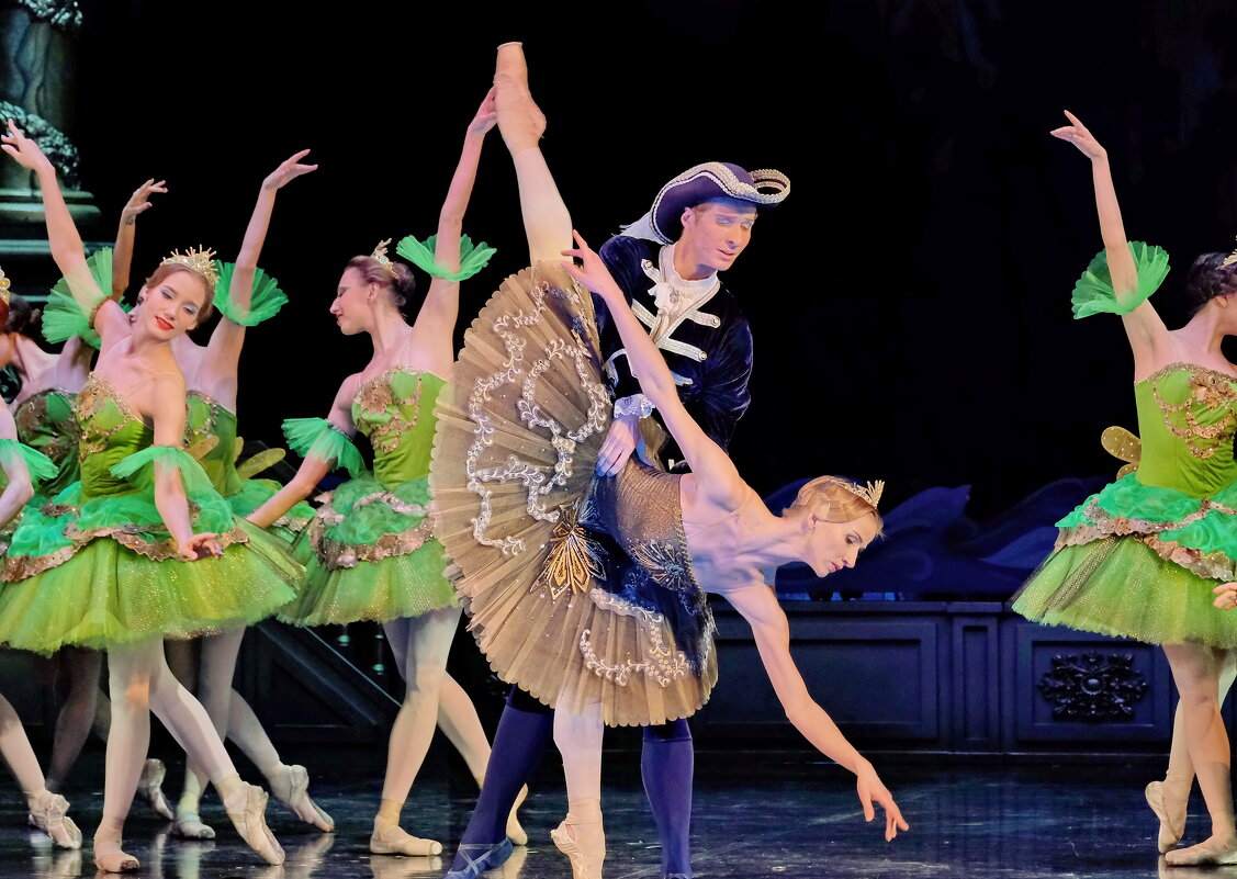 Сцена из балета "Спящая красавица" - Валерий Судачок Сцена из балета "Спящая красавица" - Валерий Судачок