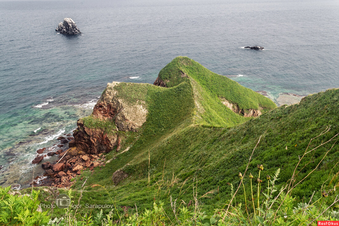 На хребте слона - Игорь Сарапулов На хребте слона - Игорь Сарапулов