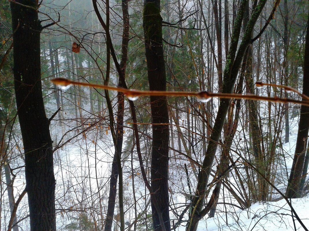 потеплело - Владимир 