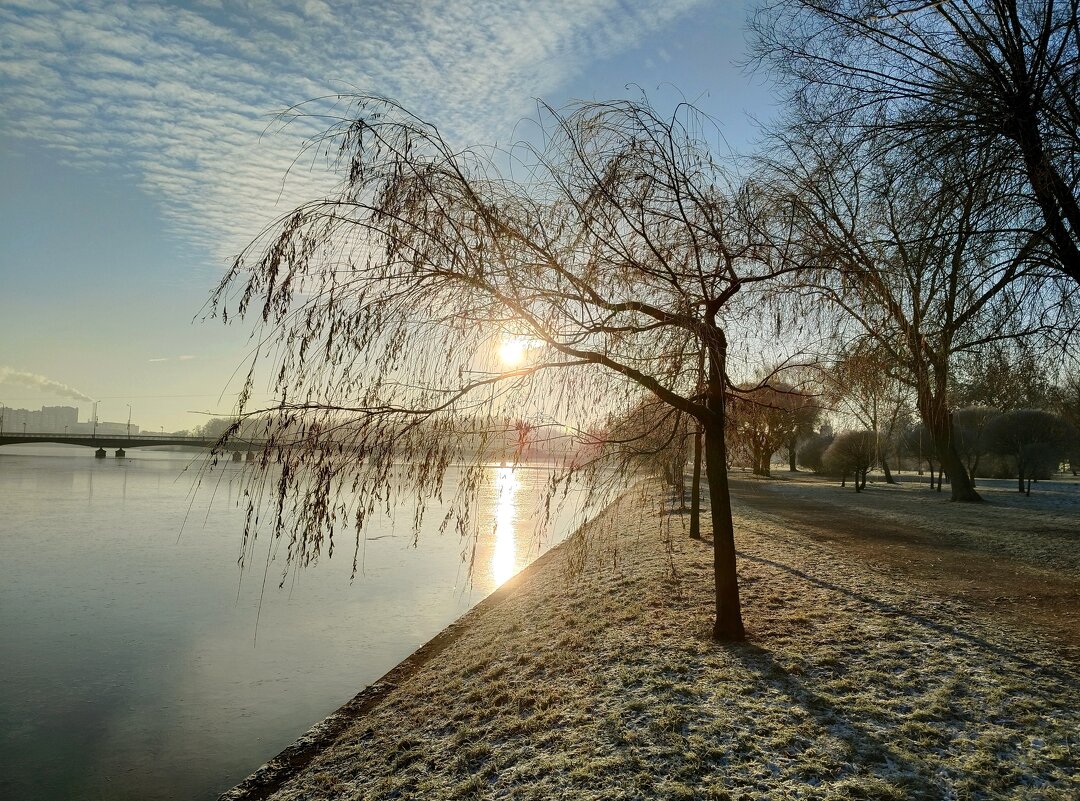 Солнце декабря! - Мария Васильева Солнце декабря! - Мария Васильева