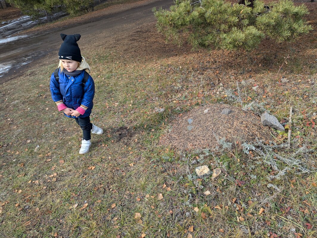 Вперёд,ьурист - Андрей Хлопонин Вперёд,ьурист - Андрей Хлопонин