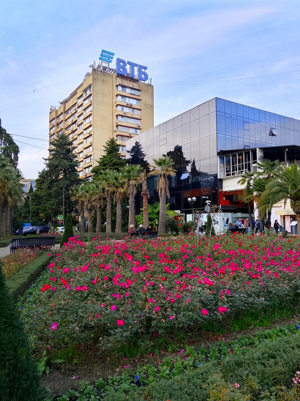 Сочи. Навагинская - Tata Wolf Сочи. Навагинская - Tata Wolf