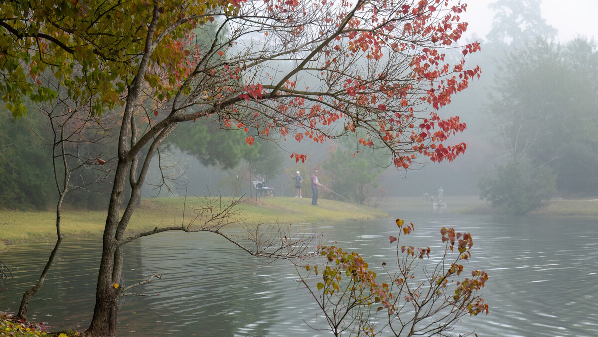 Утро - **** vedin