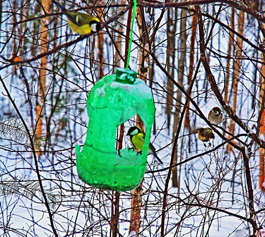 Декабрь...Вход- по очереди! - Владимир 