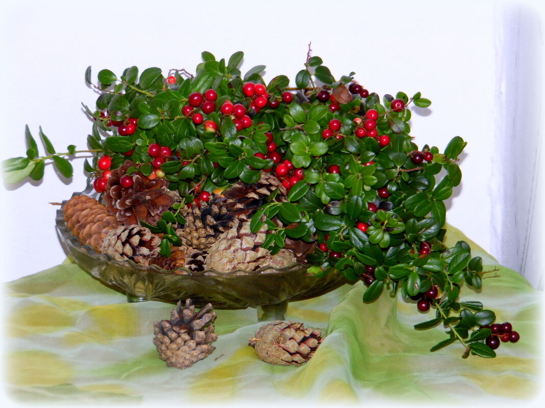 У брусники вкус особый: то ли кислый, то ли нет. Сколько ты ее ни пробуй, не найдешь на то ответ. - nadyasilyuk Вознюк У брусники вкус особый: то ли кислый, то ли нет. Сколько ты ее ни пробуй, не найдешь на то ответ. - nadyasilyuk Вознюк