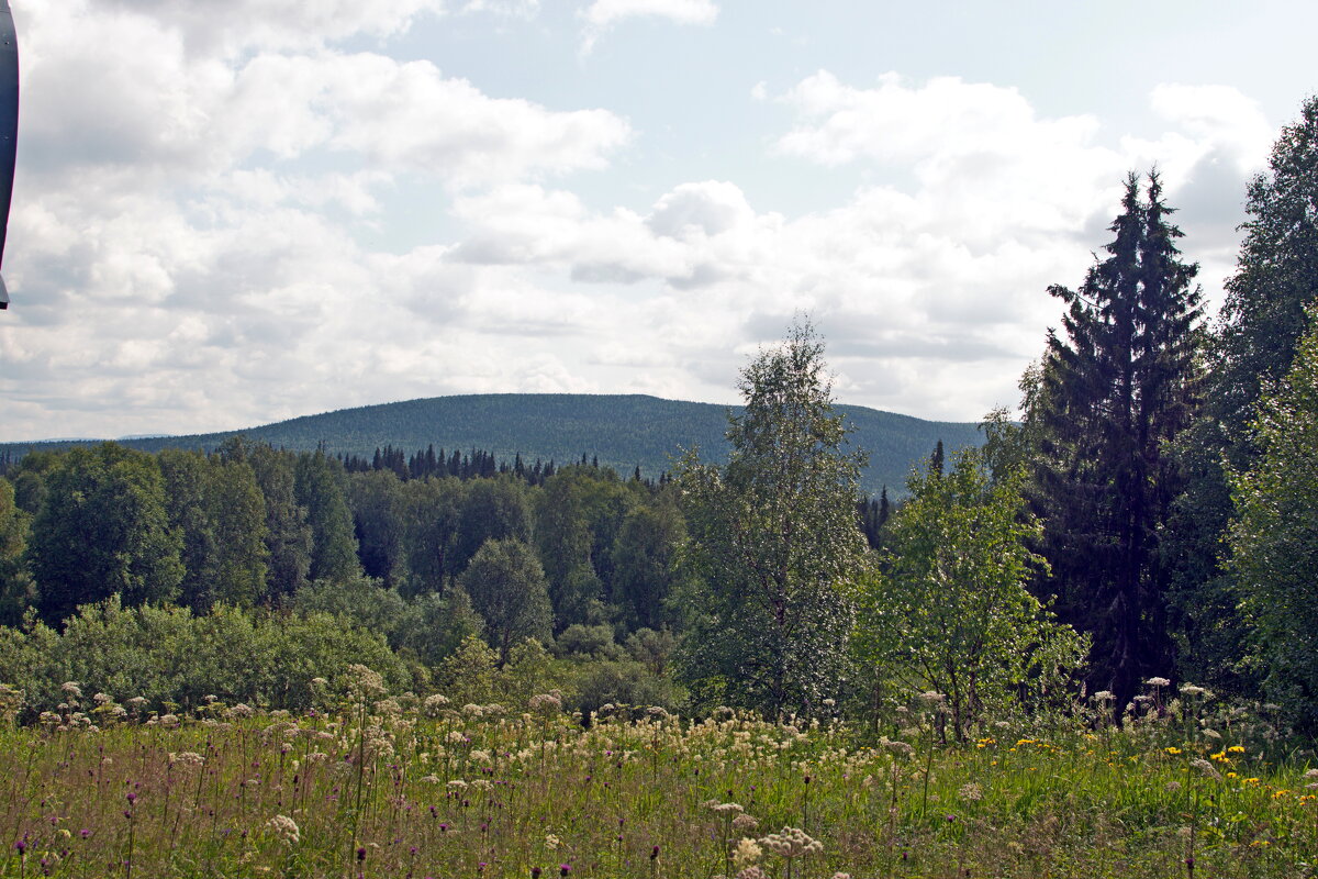 Вид от часовни. - ВикТор Быстров Вид от часовни. - ВикТор Быстров