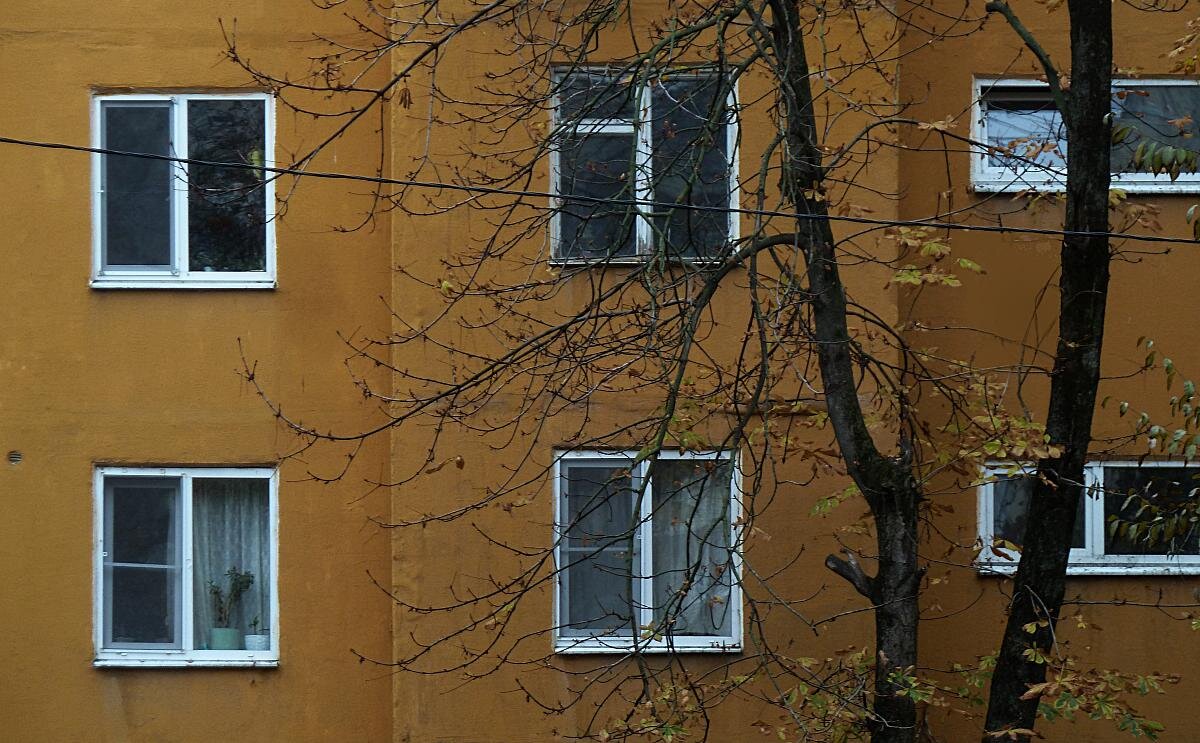 1125 - Николай Семёнов